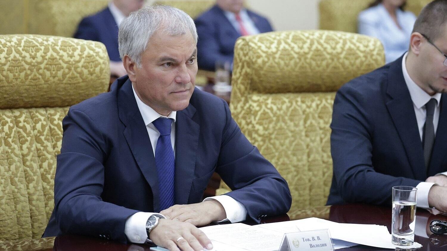 Володин рассказал о возможных запретах для релокантах
